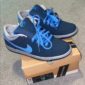 Squadron Blue Nike dunks